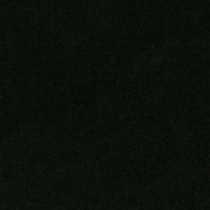 Meet your Posher, Jodi